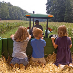 Sécurité agricole : la ferme  Hopital de Montreal pour enfants