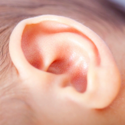 Traumatismes de l'oreille - Quand il y a urgence | Hopital de ...