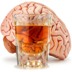 Un verre d'alcool quotidien peut-il protéger la santé cognitive du